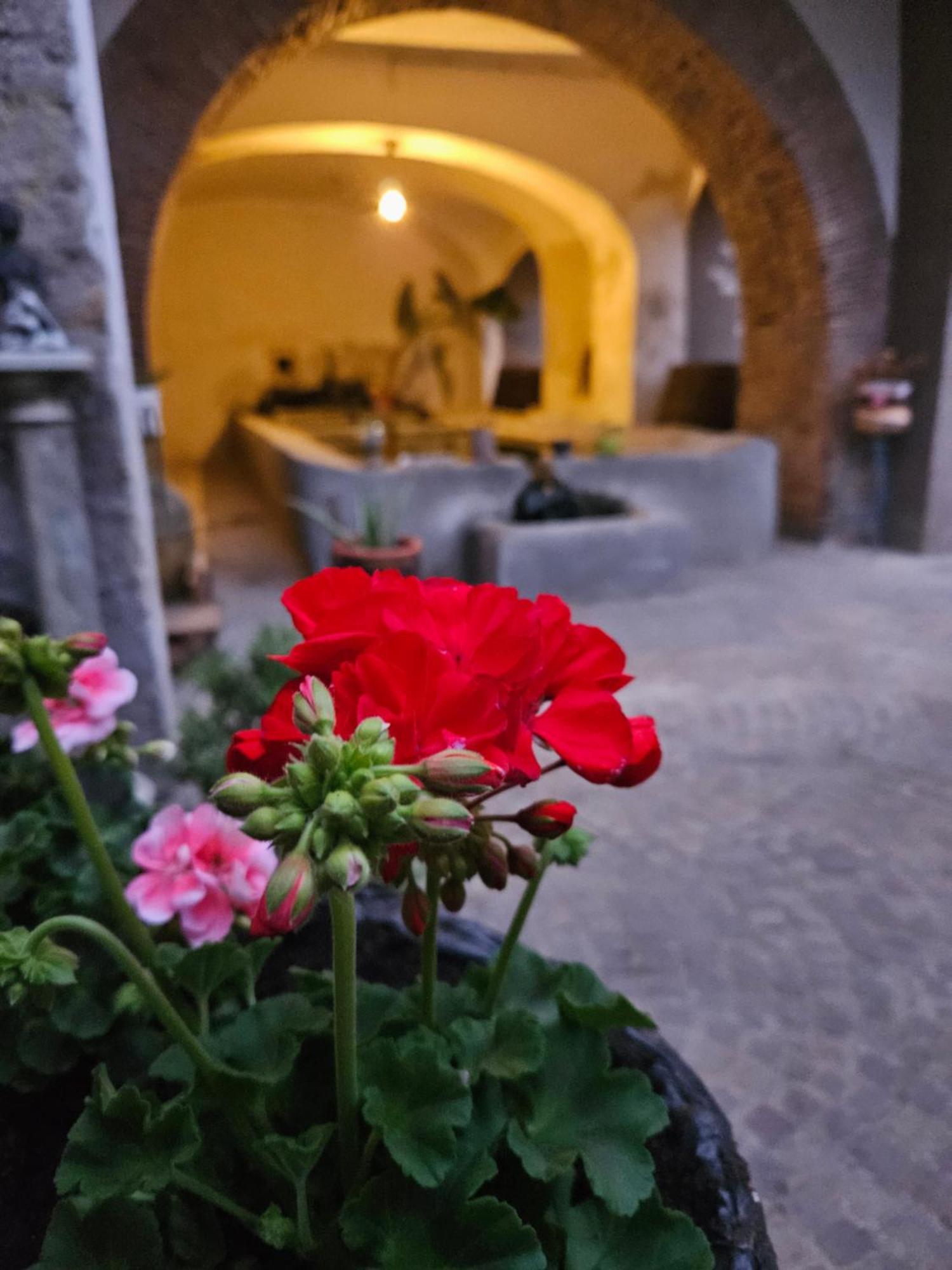 Rignano Flaminio L' Antico Lavatoio Bed & Breakfast エクステリア 写真