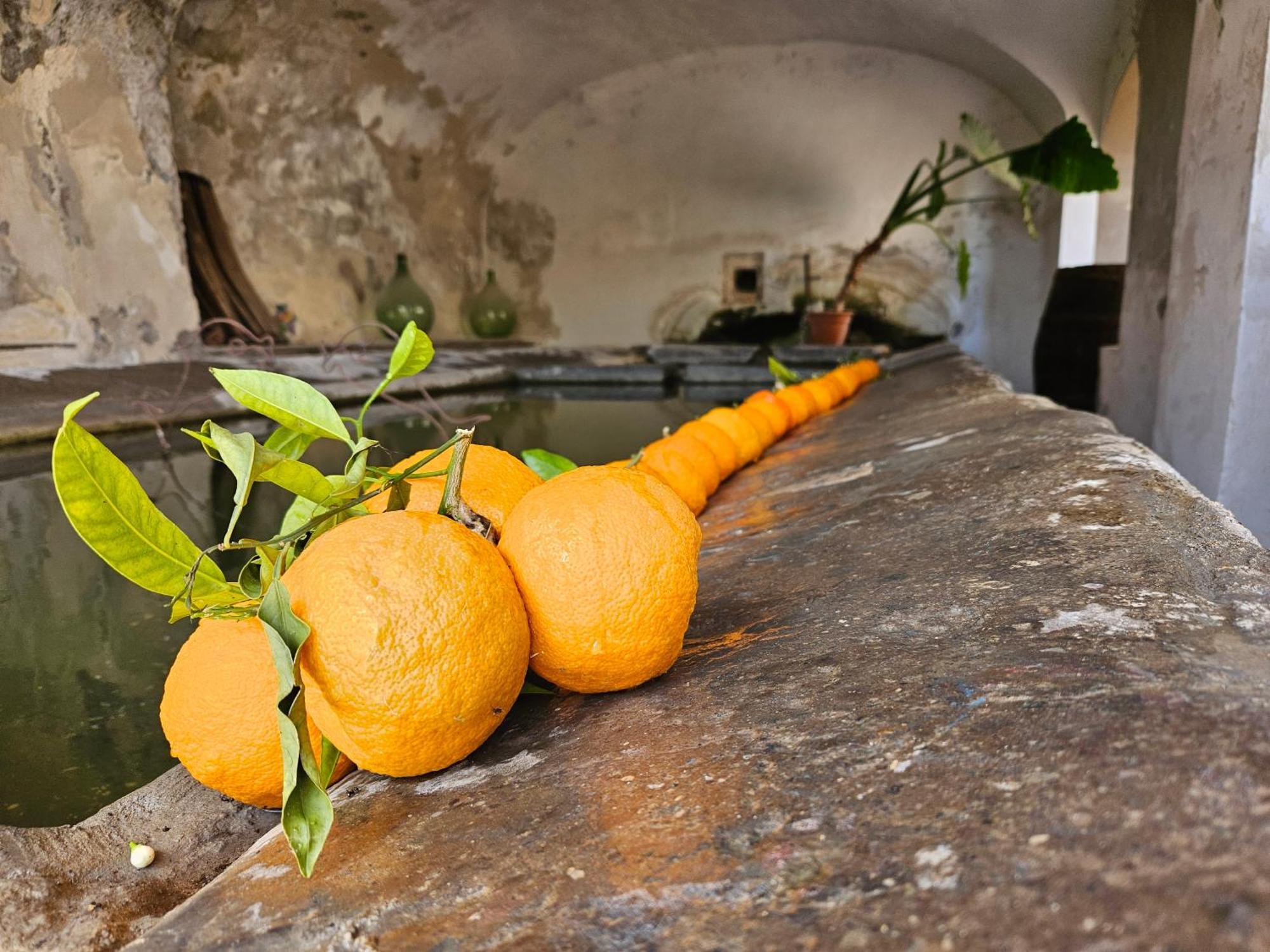 Rignano Flaminio L' Antico Lavatoio Bed & Breakfast エクステリア 写真