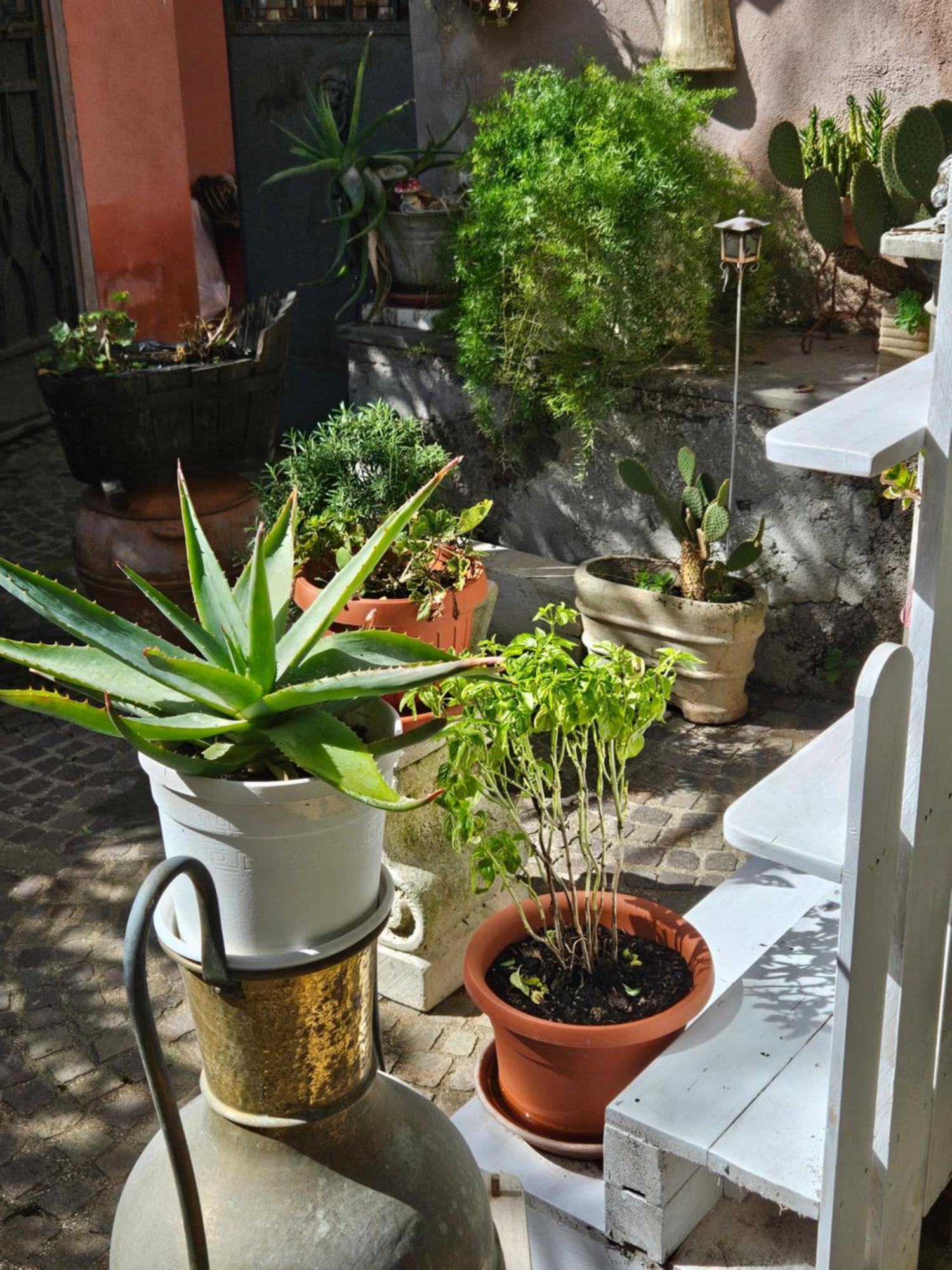 Rignano Flaminio L' Antico Lavatoio Bed & Breakfast エクステリア 写真
